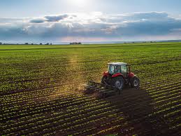 Terreno de explotación agrícola